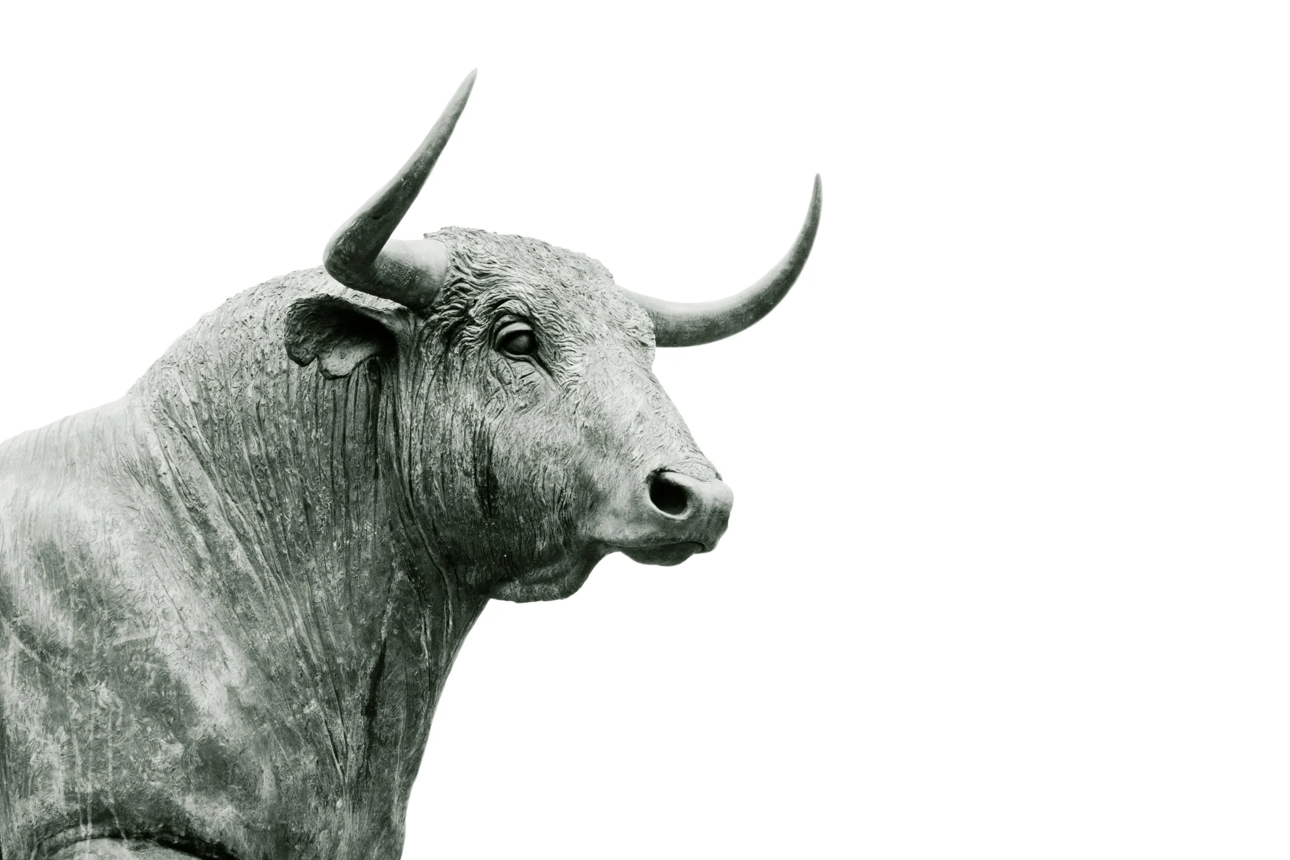 Bitcoin Bulls: Crypto Market Analysis